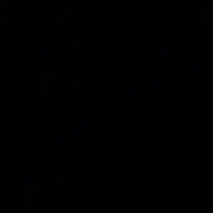 Meet your Posher, Adrian